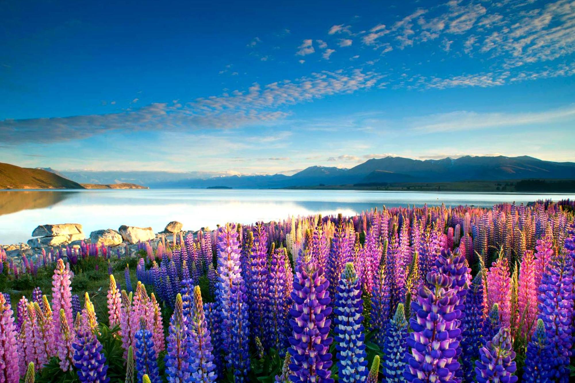 Tekapo1929 Lakefront Villa เลคเทคาโป ภายนอก รูปภาพ